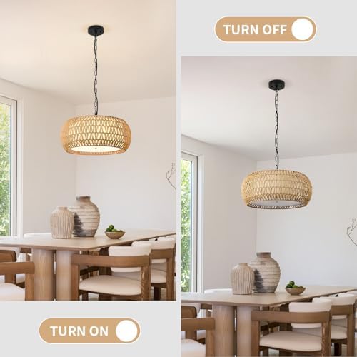 19 Inch Boho Chandelier with 5 Lights