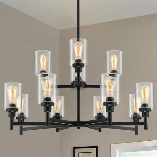 Black Chandelier for Living Room with 12 Lights